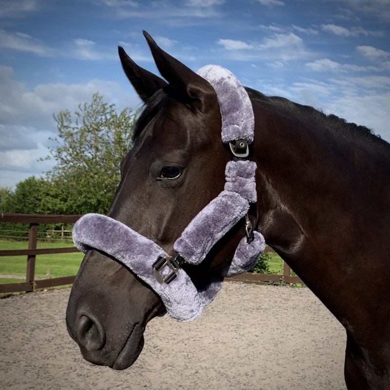 Deluxe grey fluffy headcollar Equilux Equestrian